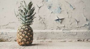 New Speakers Announced